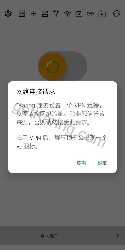 Karing VPN请求